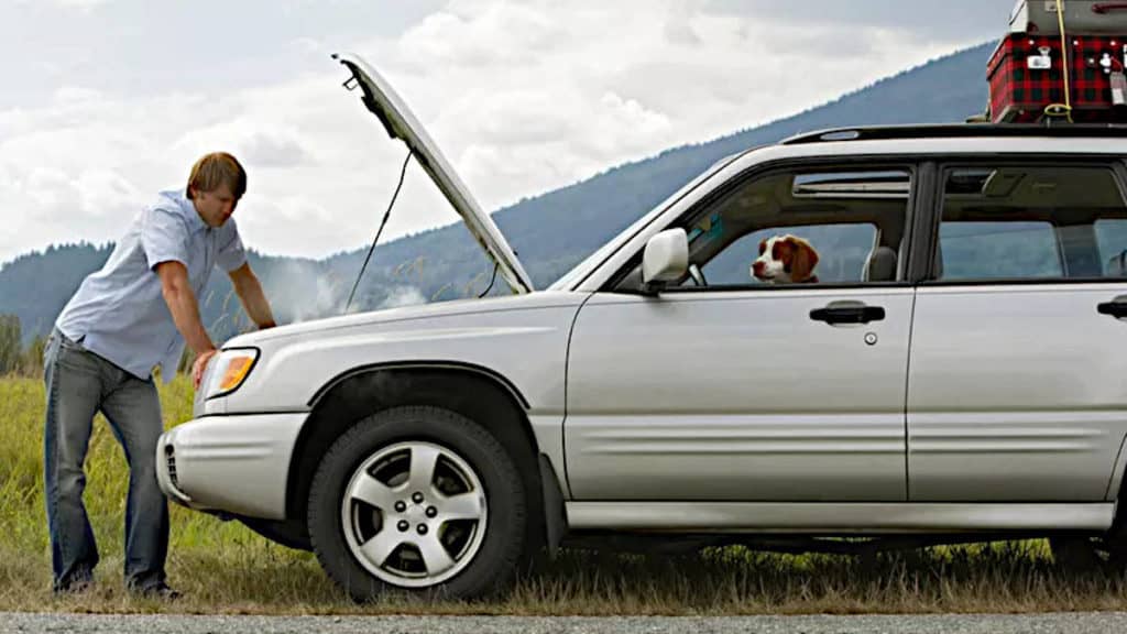 un hombre abre el capó de un coche sobrecalentado mientras el perro está sentado en el coche