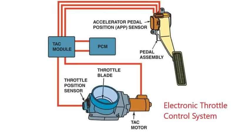 Sistema de control electrónico del acelerador
